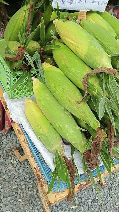 ร้านบ้านต้นไม้อานัท - 3
