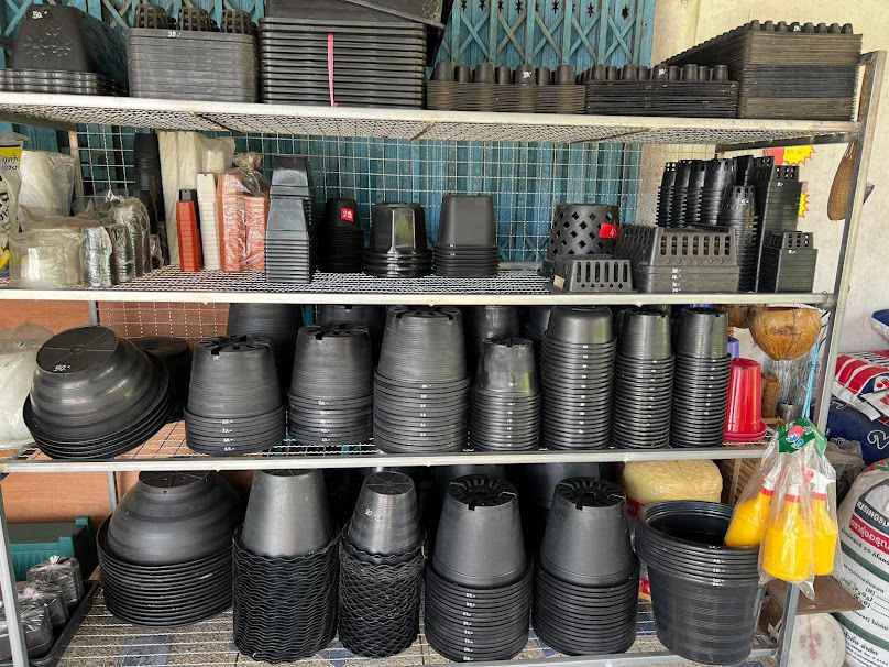 ร้านบ้านต้นไม้ หัวถนน - 2