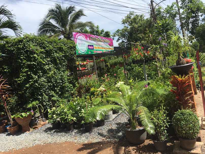 ร้านบ้านต้นไม้ หัวถนน - 4
