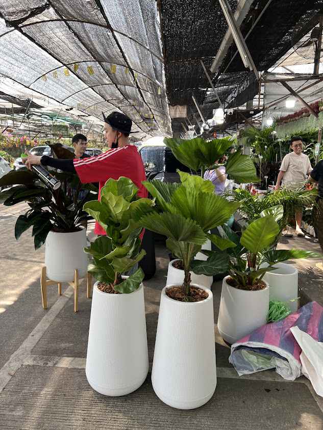 ร้านบ้านเธอ ต้นไม้ฉัน - 3