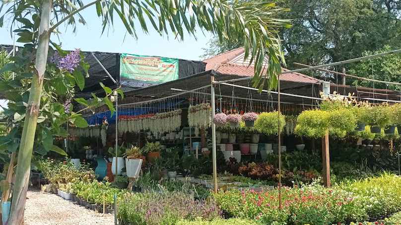 ร้านประเวทพันธุ์ไม้
