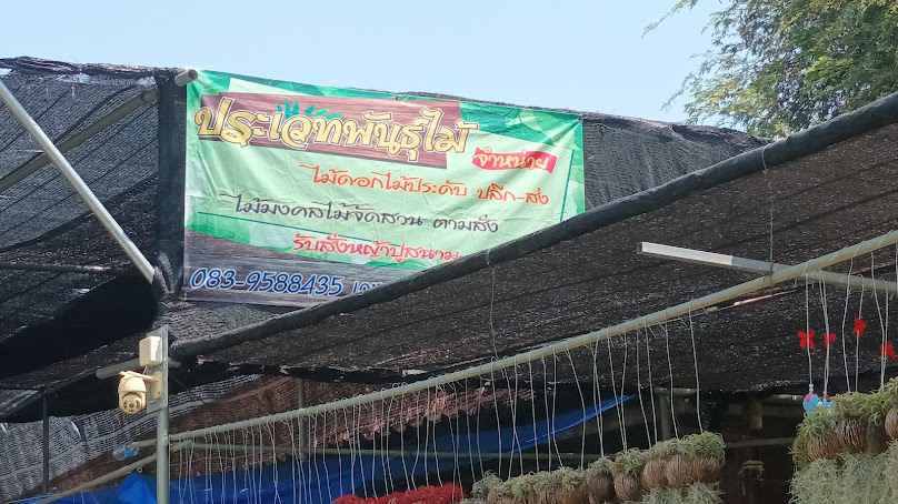 ร้านประเวทพันธุ์ไม้ - 3