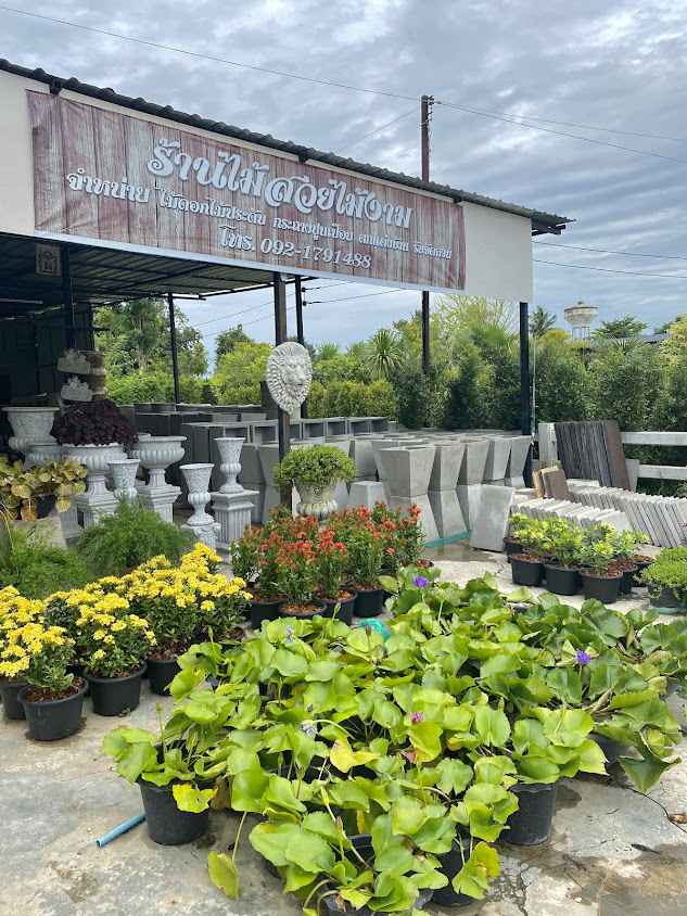 ร้านประเวทพันธุ์ไม้ - 4