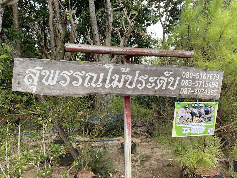 Tree Nursery - 4