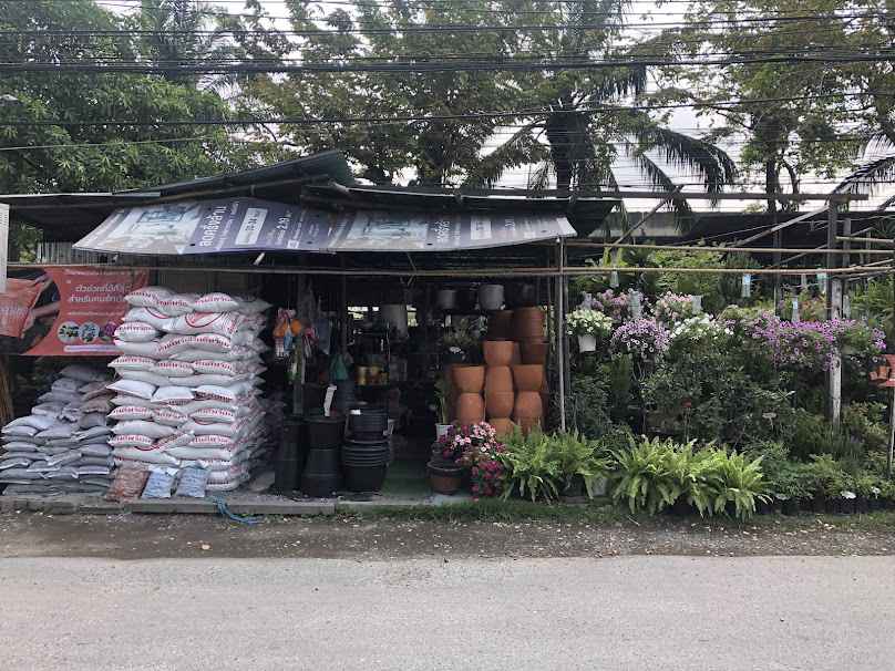 ร้านป้าบล (ชื่อเก่า ร้านไม้มงคล) ตลาดต้นไม้เลียบทางด่วน - 2