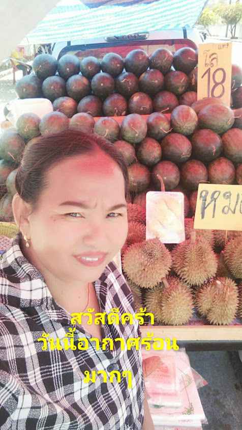 ร้านผลไม้น้องแมว วชิรา - 4