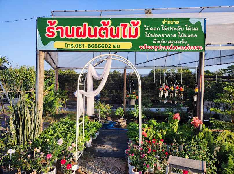 ร้านฝนต้นไม้