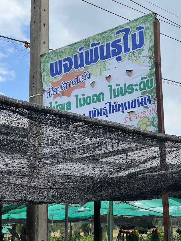 ร้านพจน์ พันธุ์ไม้ คูเมือง - 2