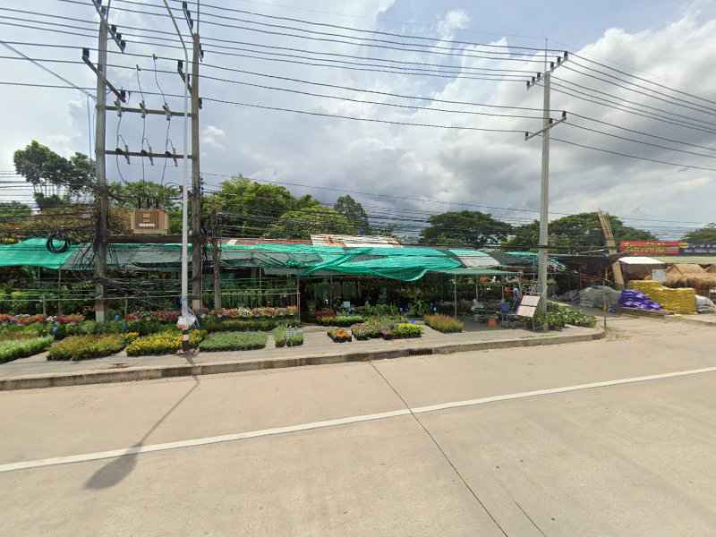 ร้านพนาไพรพันธุ์ไม้ คุณตุ๊ก - 3
