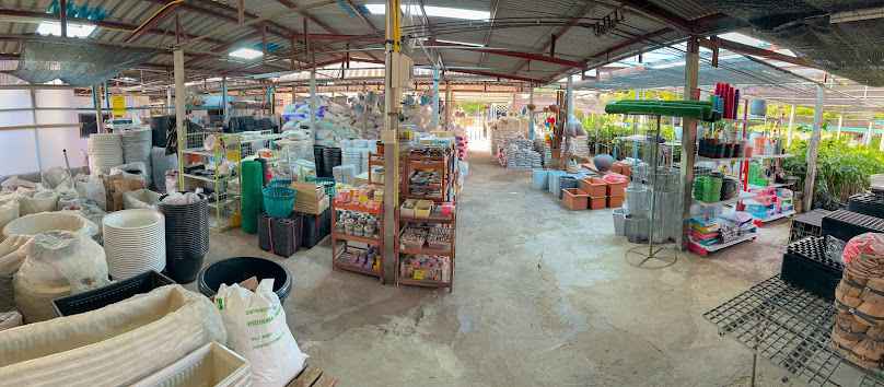 ร้านพันธุ์ทิพย์ (ตลาดต้นไม้สวนฟ้าใส) - 2
