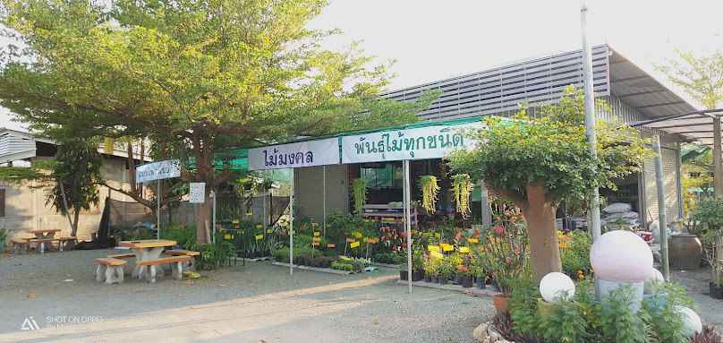 ร้านพันธุ์ไม้ปายทาง - 3
