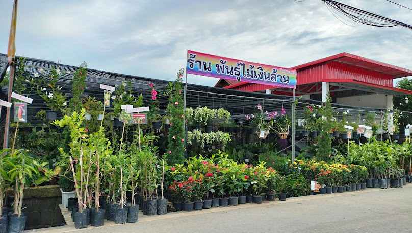 ร้านพันธุ์ไม้เงินล้าน - 2