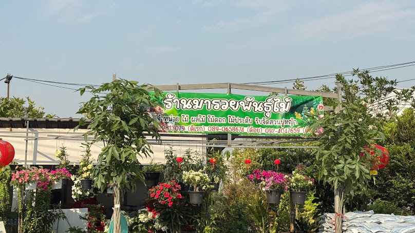 ร้านมารวยพันธุ์ไม้ สาขาตลาดไอยรา