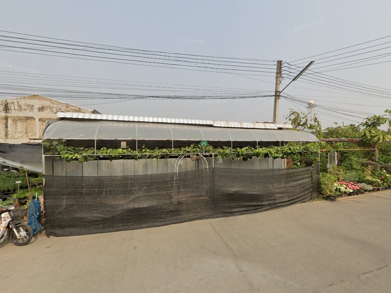 ร้านรัตนาพันธุ์ไม้ - 3