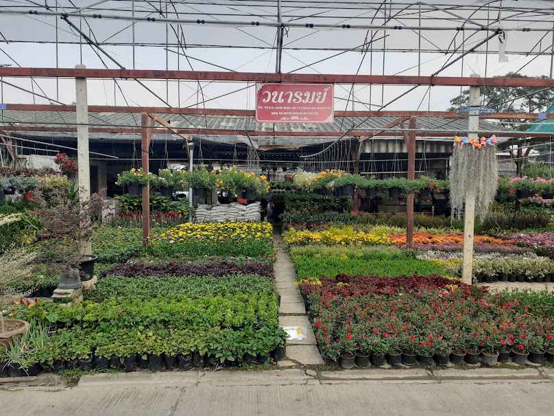 ร้านวนารมย์ - 2