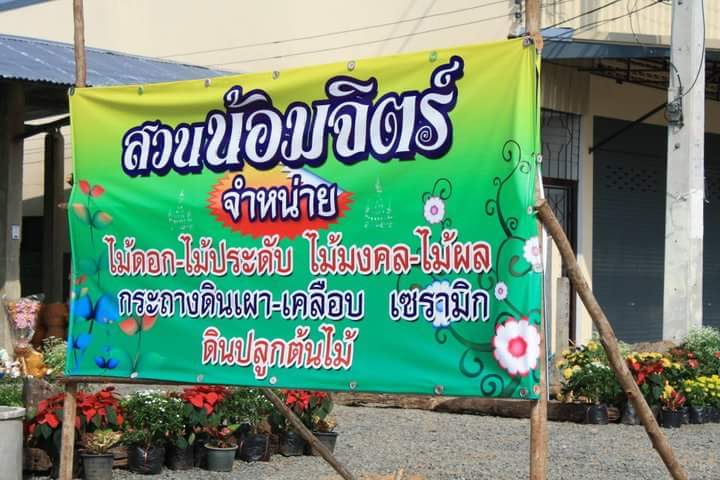 ร้านวรรณดี พันธุ์ไม้ - 4