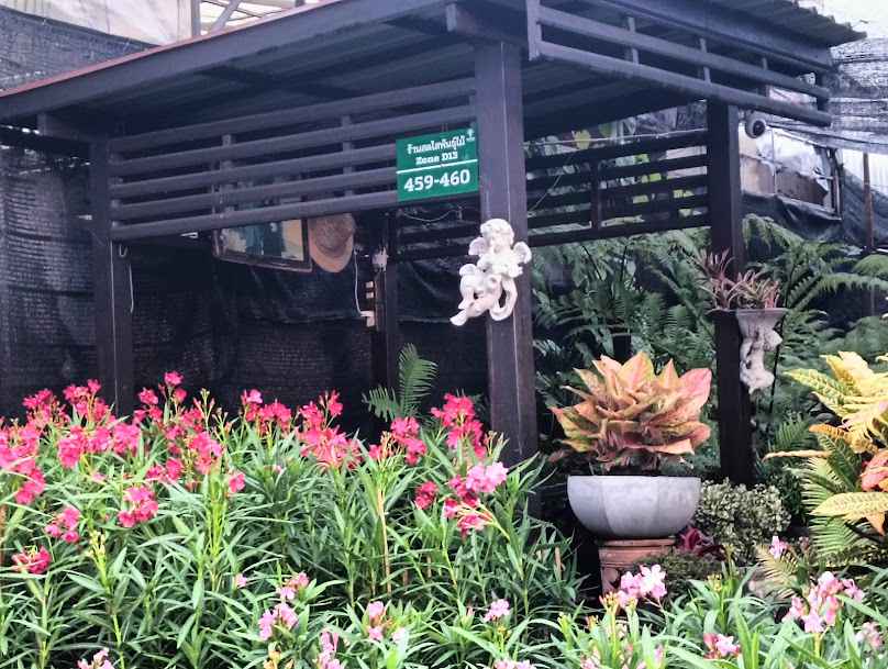 ร้านสดใสพันธุ์ไม้ - 2