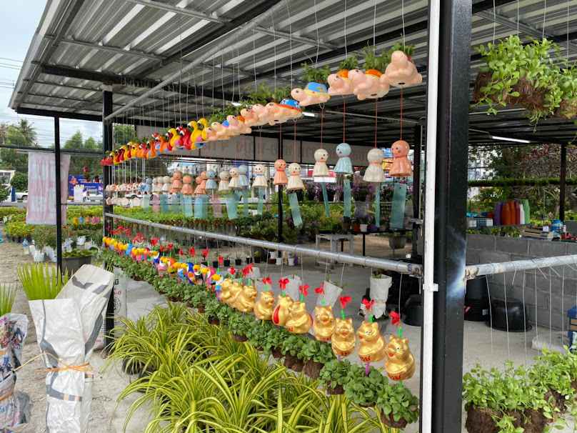 ร้านสมบัติพันธุ์ไม้รุ่งเรือง - 2