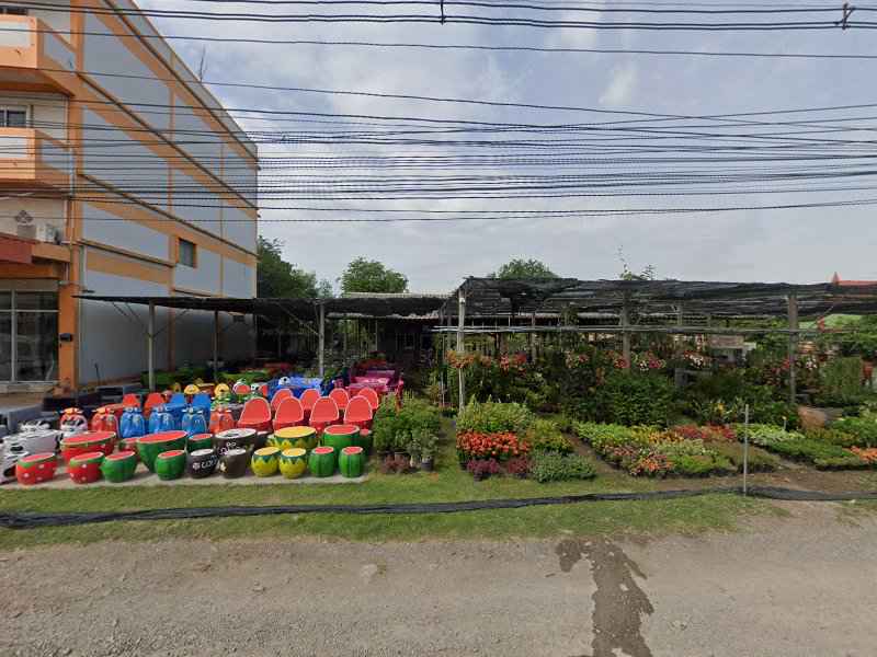 ร้านสวนสวยบ้านแพ้ว - 3