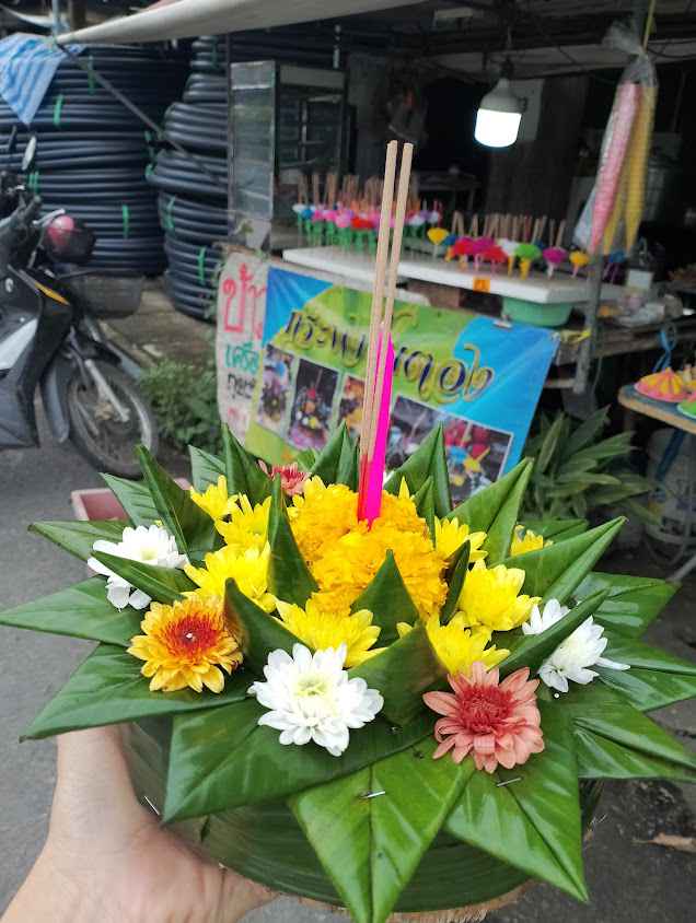 ร้านสวนเก๋พันธุ์ไม้ - 4