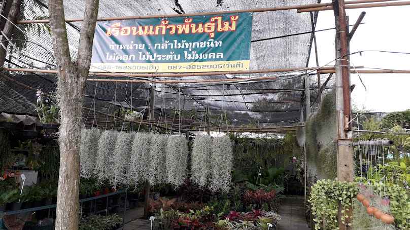 ร้านสวนเรือนแก้วพันธุ์ไม้