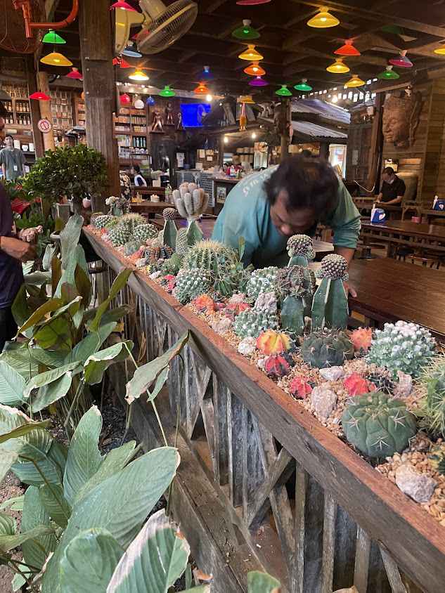ร้านสวนไม้ทิพย์ สาขา2 - 2