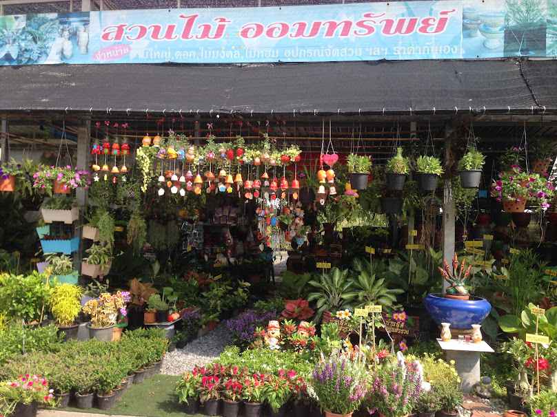 ร้านสวนไม้ออมทรัพย์ - 2