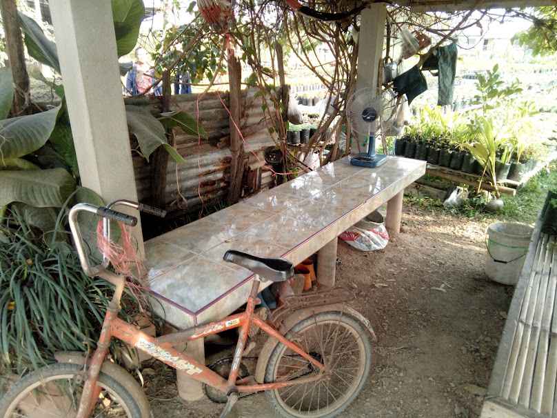 ร้านสายไหมพันธุ์ไม้ - 2