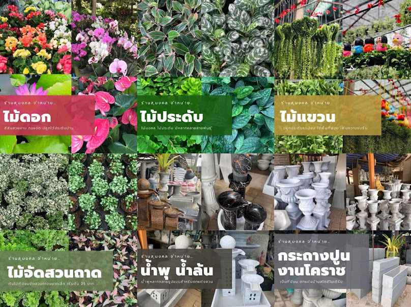 ร้านสุมงคล - 2