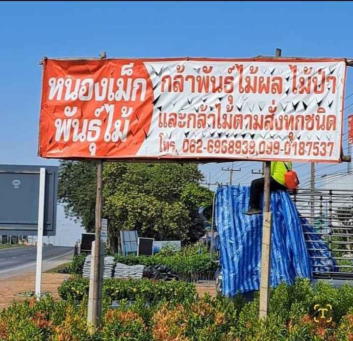 ร้านหนองเม็กพันธุ์ไม้จ.อุดรธานี