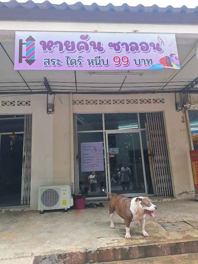 ร้านหายคันซาลอน - 3