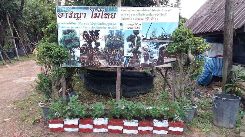 ร้านอารญา ไม้ไทย - 2