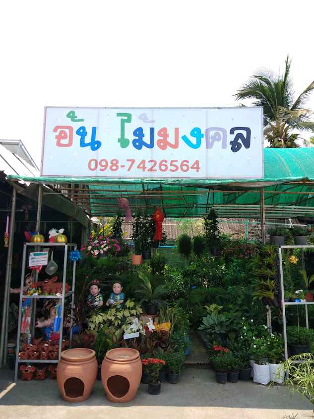 ร้านอ้น ไม้มงคล - 2