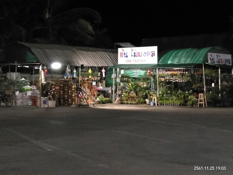 ร้านอ้น ไม้มงคล - 3
