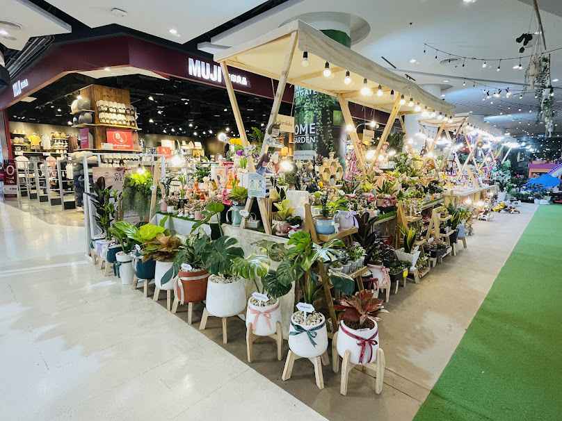 ร้านอ้อก้องไพร ไม้ประดับ ตลาดไม้งาม - 3