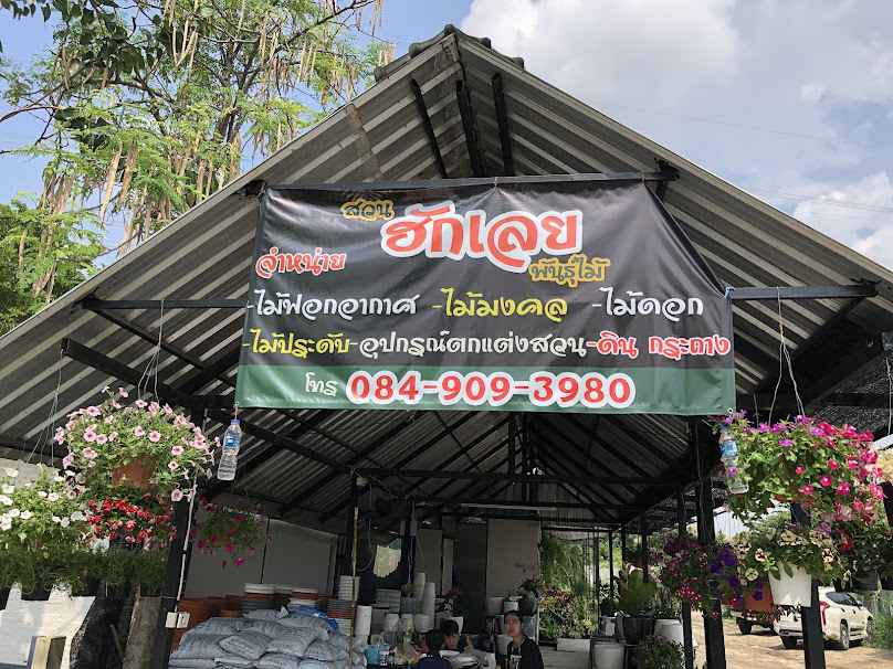 ร้านฮักเลยพันธุ์ไม้ - 2
