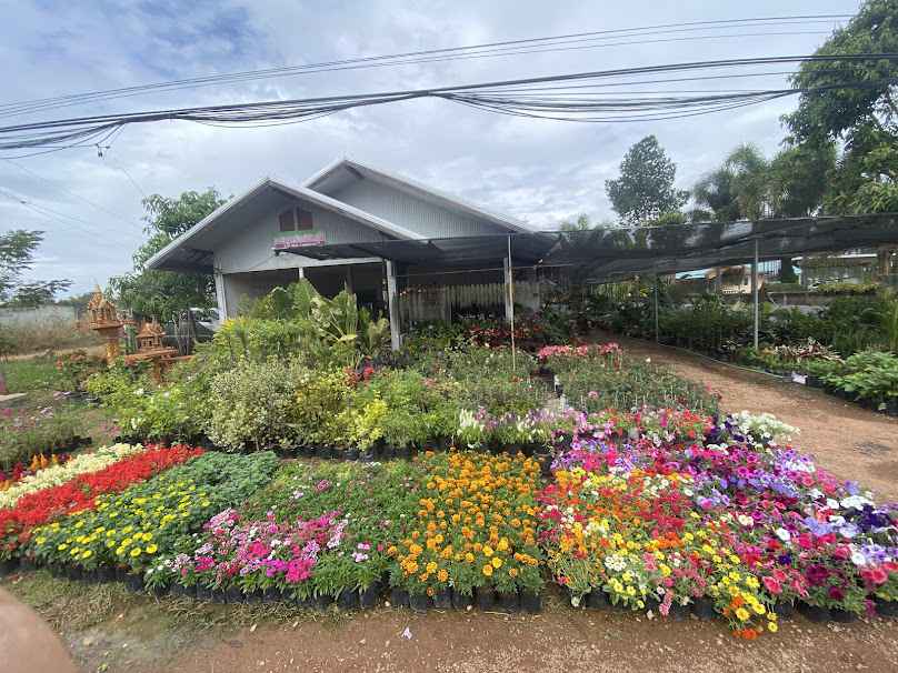 ร้านเจริญทรัพย์พันธุ์ไม้