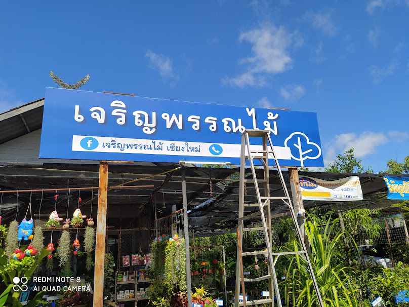 ร้านเจริญพรรณไม้