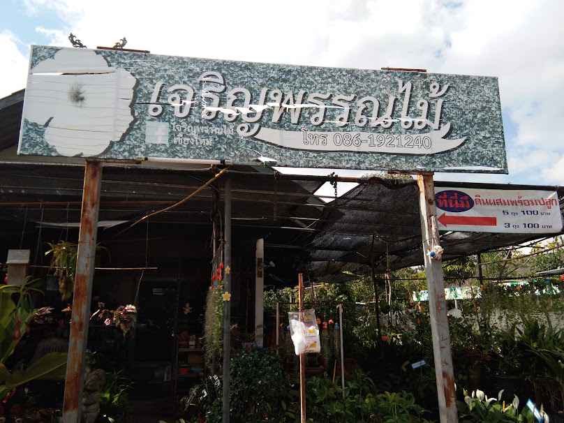 ร้านเจริญพรรณไม้ - 4