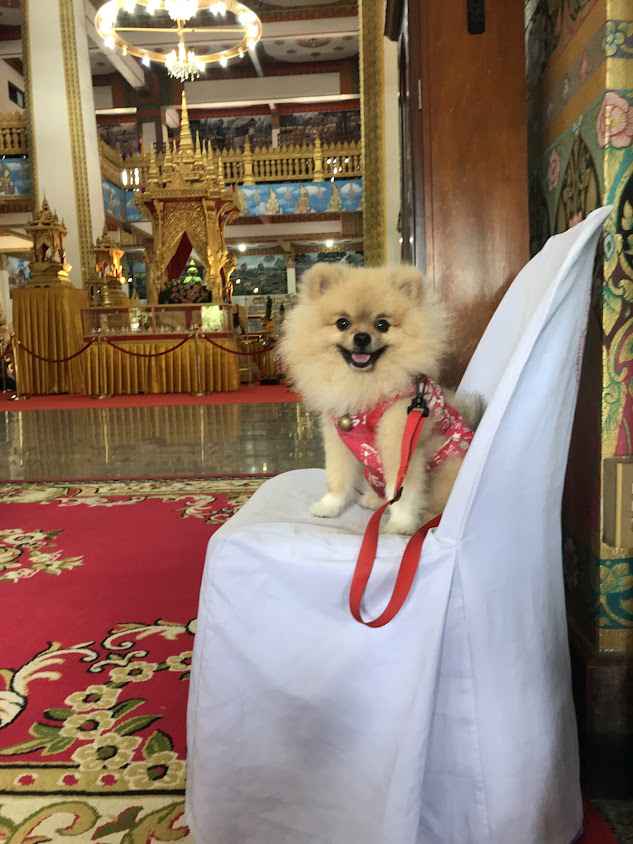 ร้านเสริมสวยติ๊ก