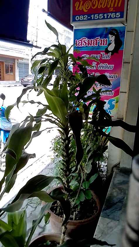 ร้านเสริมสวยน้องไข่มุก - 3