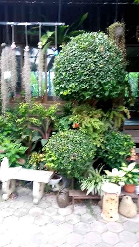 ร้านเสริมสวยศรีลาบิวตี้ - 3