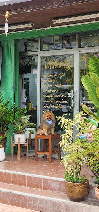 ร้านเสริมสวยโอกะเอ๋
