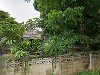 ร้านเอมอรพันธ์ไม้ - 3