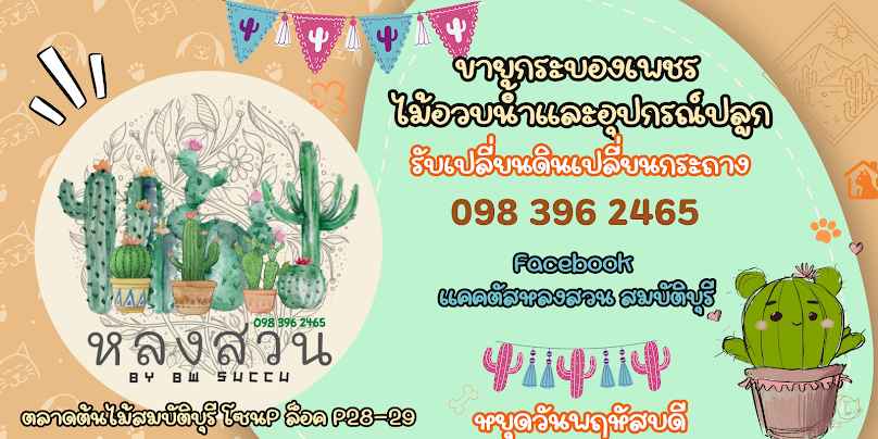 ร้านแคคตัสหลงสวน