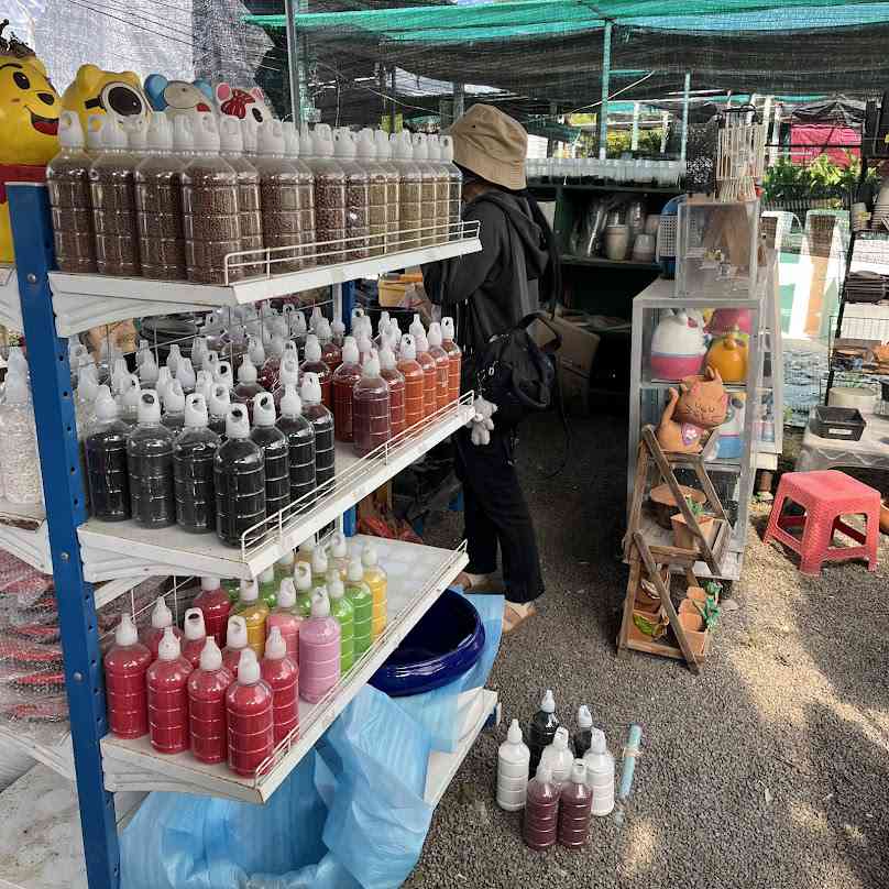 ร้านแคคตัสโคราชราคาส่ง ตลาดต้นไม้ฟ้าใส