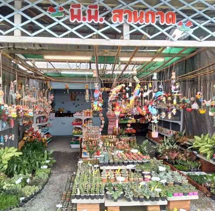 ร้านแต่งแต้ม ตันไม้จัดสวนถาด