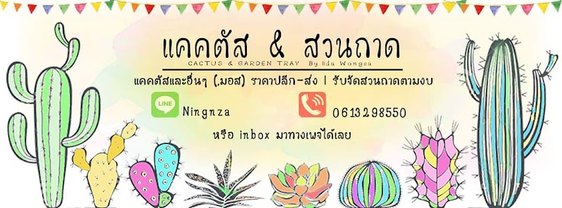 ร้านแต่งแต้ม ตันไม้จัดสวนถาด - 3