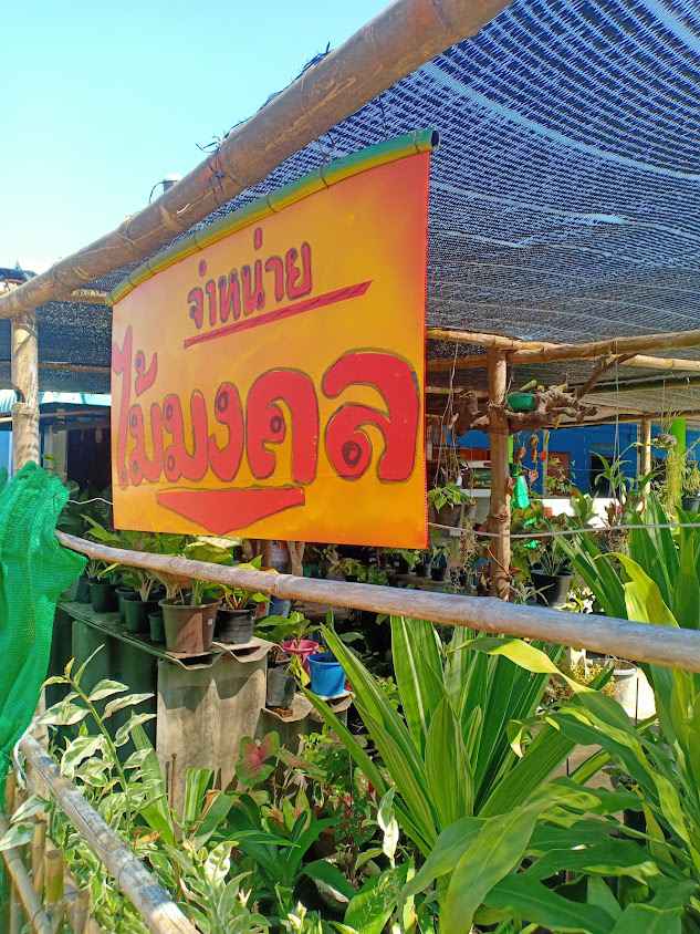 ร้านแม่แขกพรรณไม้งาม - 4