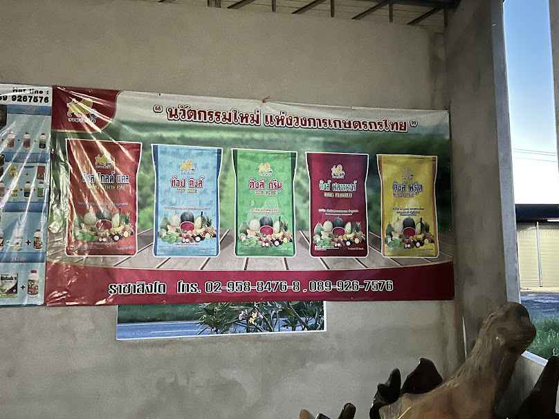 ร้านโชคประวัติไชย
